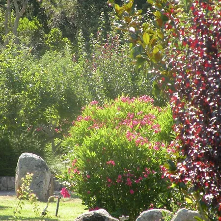 Les Jardins De Santa Giulia *